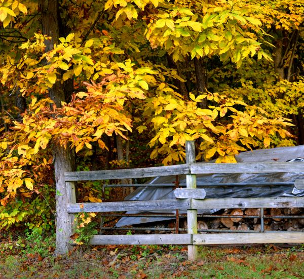 Cost of Hickory Tree Pruning in Sparks