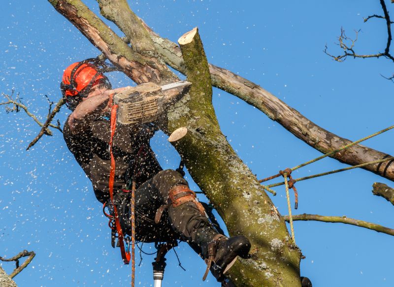 Utility Line Clearance Services